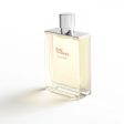 TERRE D HERMÈS EAU GIVRÉE edp vapor refillable 175 ml. For Discount