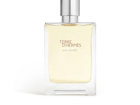 TERRA DE HERMÈS GIVRÉE eau de parfum recarregável 100 ml. Online Hot Sale