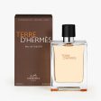 TERRA DE HERMÈS edt spray 100 ml Discount