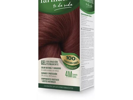 FARMATINT GEL coloração permanente 4m castanho mogno For Discount