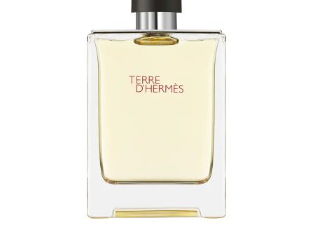 TERRA DE HERMÈS edt spray 100 ml Discount